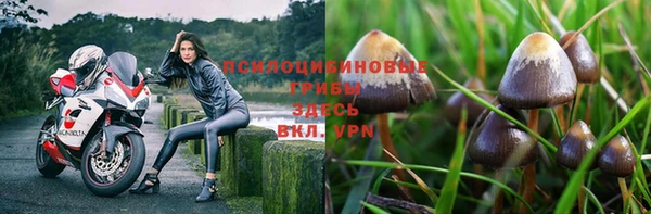 ПСИЛОЦИБИНОВЫЕ ГРИБЫ Алексеевка