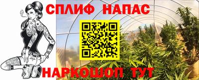 наркотики Тара