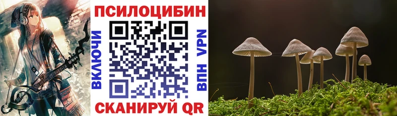 Псилоцибиновые грибы мицелий  продажа наркотиков  hydra ССЫЛКА  Пушкино 