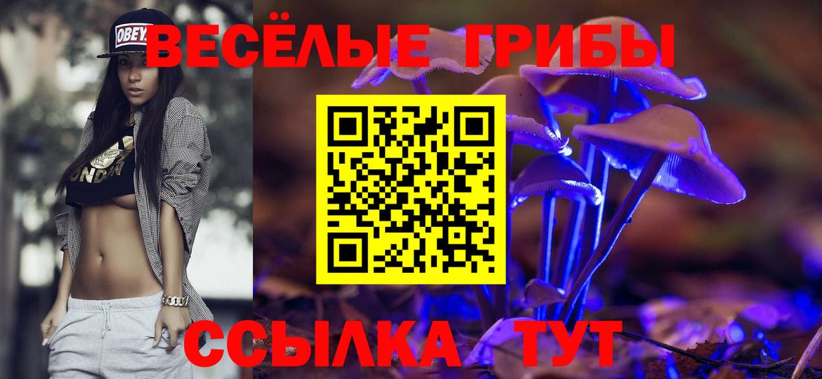 Пушкино  Галлюциногенные грибы MAGIC MUSHROOMS  Вход с VPN 